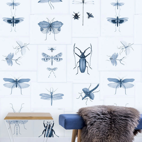 Entomology Blue Wallpaper
