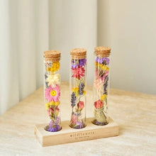 Load image into Gallery viewer, Dried Floral Trio