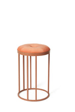 Load image into Gallery viewer, Daisy Stool Rose