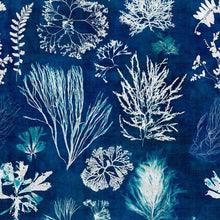 Load image into Gallery viewer, Algae Navy Blue