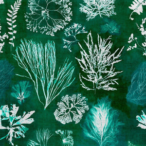 Algae Moss Wallpaper