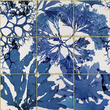 Load image into Gallery viewer, Blue Algae Wallpaper