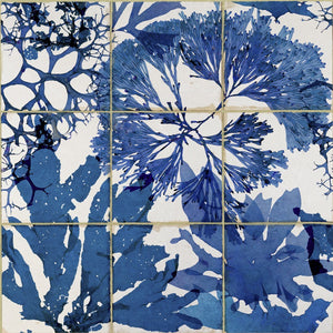 Blue Algae Wallpaper
