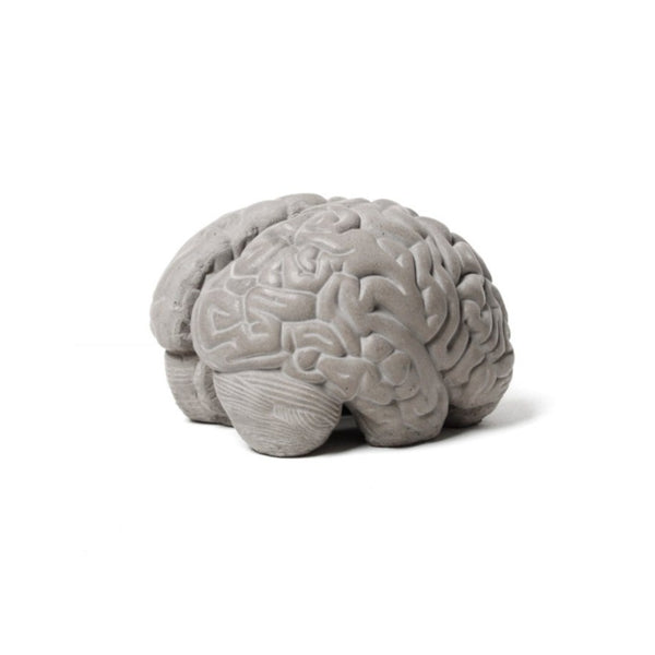 Concrete Brain Bookends