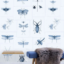 Load image into Gallery viewer, Entomology Blue Wallpaper