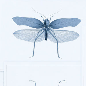 Entomology Blue Wallpaper