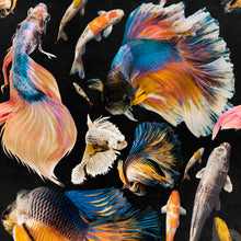 Load image into Gallery viewer, Goldfish Anthracite Wallpaper
