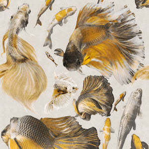 Goldfish Ivory Wallpaper