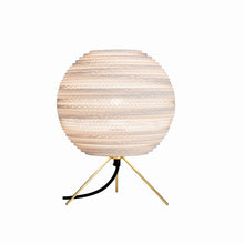 Load image into Gallery viewer, Scraplights | Moon Table Lamp