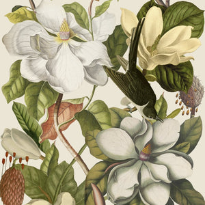 Magnolia Taupe Wallpaper