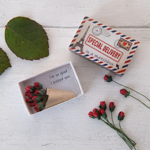 Matchbox Miniature Keepsake | A Dozen Red Roses