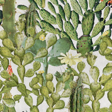 Load image into Gallery viewer, Opuntia Wallpaper