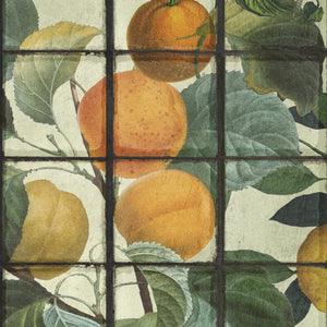 Orangerie Wallpaper