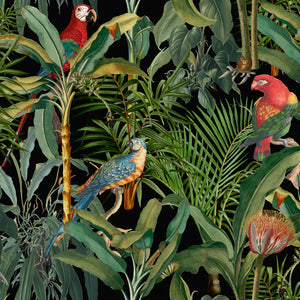 Parrots of Brazil Anthracite Wallpaper