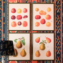 Load image into Gallery viewer, Framed Wall Art | Pomona III