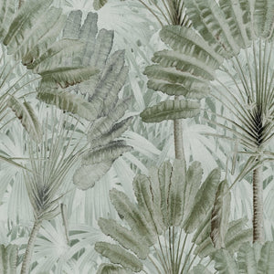 Traveller's Palm Neutral Wallpaper