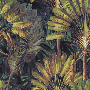 Traveller's Palm Sunset Wallpaper