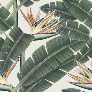 Tropical Bloom Wallpaper