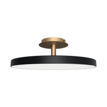 Load image into Gallery viewer, Asteria Up | Ceiling Lamp