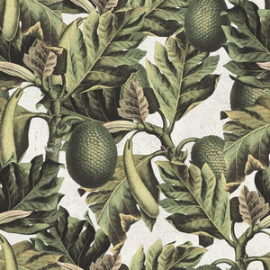 Exotic Fruit I Wallpaper