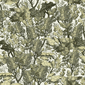Tree Foliage Wallpaper