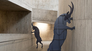 Fausto Ibex Wall Storage | Black